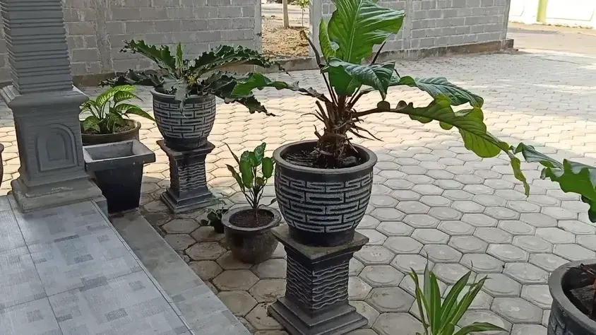 jasa paving solo