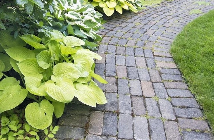 Jasa Paving Block